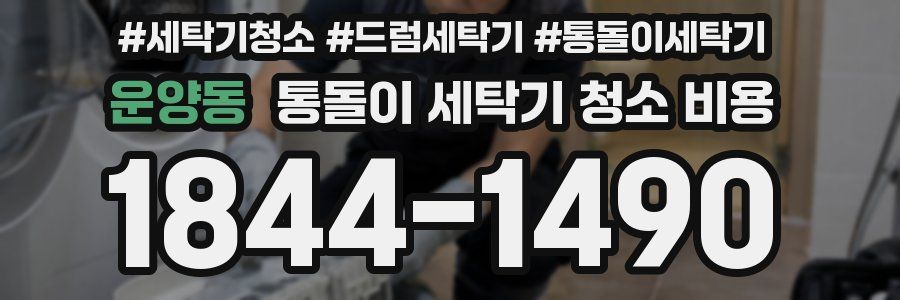 운양동 통돌이 세탁기 청소 비용