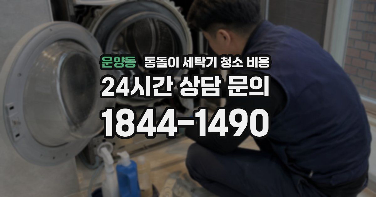 운양동 통돌이 세탁기 청소 비용