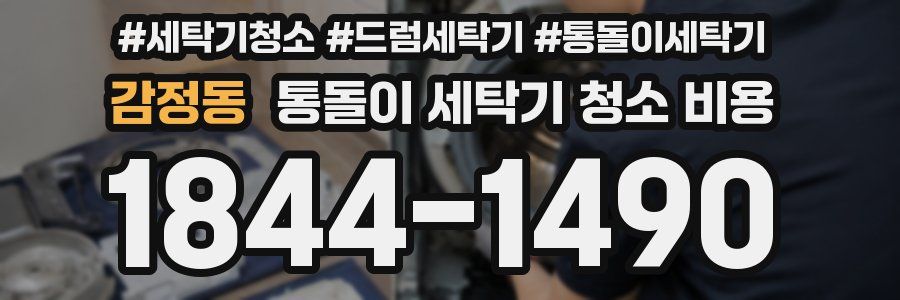 감정동 통돌이 세탁기 청소 비용