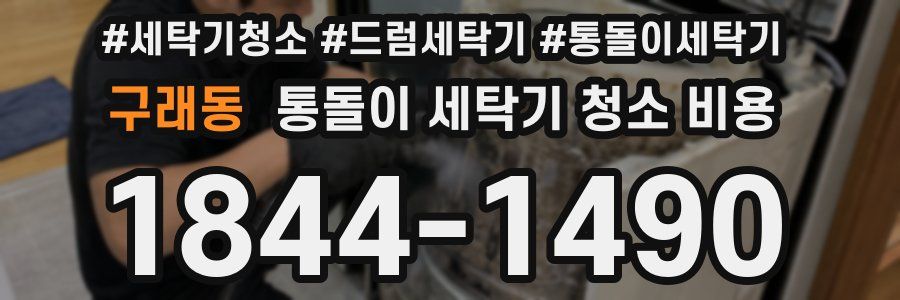 구래동 통돌이 세탁기 청소 비용
