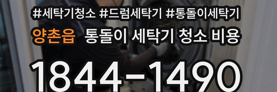 양촌읍 통돌이 세탁기 청소 비용