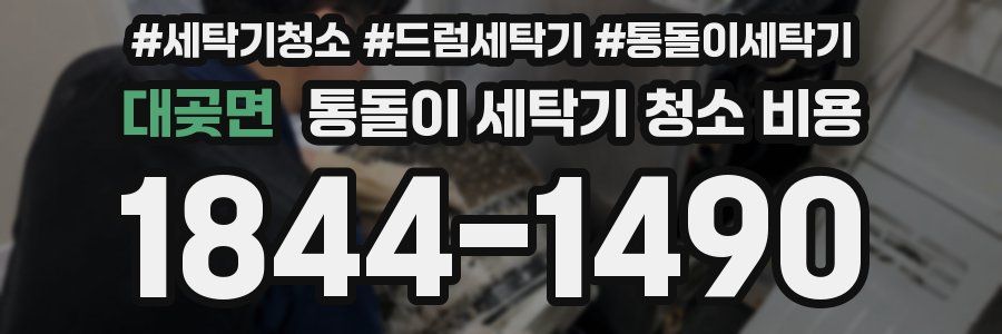 대곶면 통돌이 세탁기 청소 비용