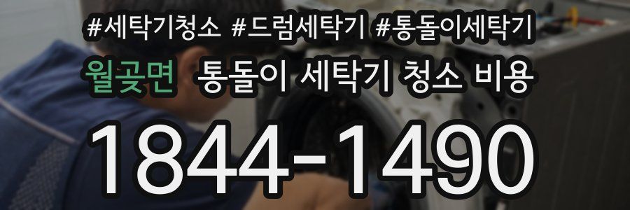 월곶면 통돌이 세탁기 청소 비용
