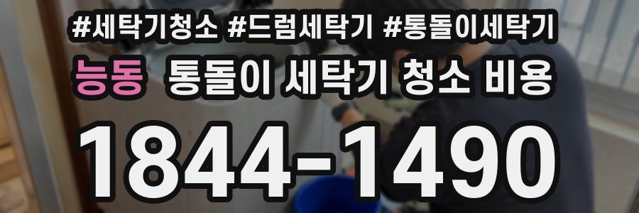 능동 통돌이 세탁기 청소 비용