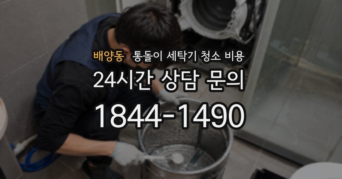 배양동 통돌이 세탁기 청소 비용