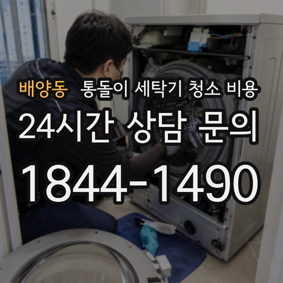 배양동 통돌이 세탁기 청소 비용