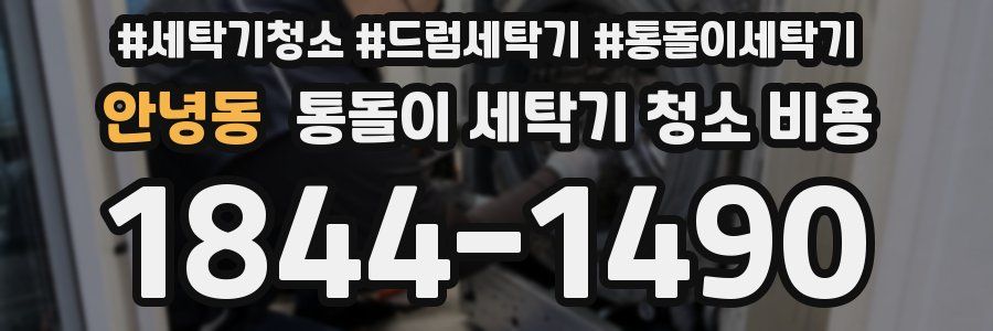 안녕동 통돌이 세탁기 청소 비용