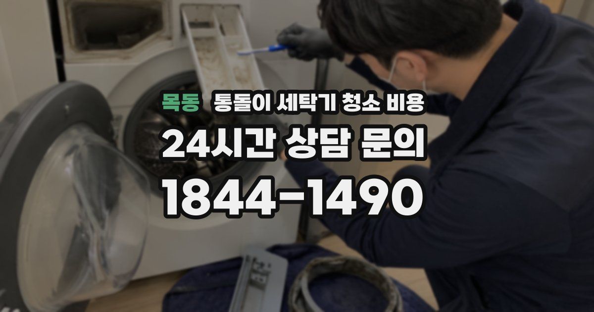 목동 통돌이 세탁기 청소 비용