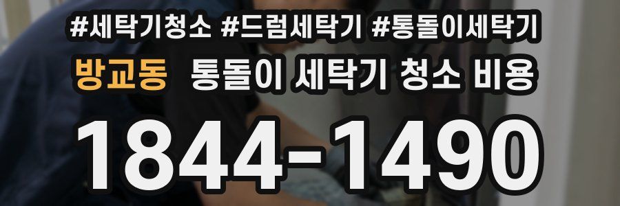 방교동 통돌이 세탁기 청소 비용