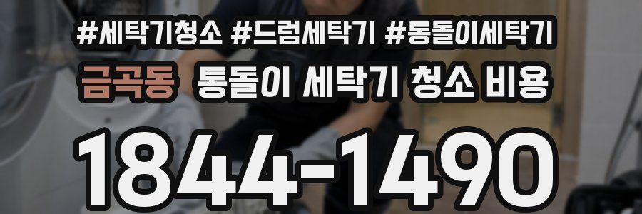 금곡동 통돌이 세탁기 청소 비용