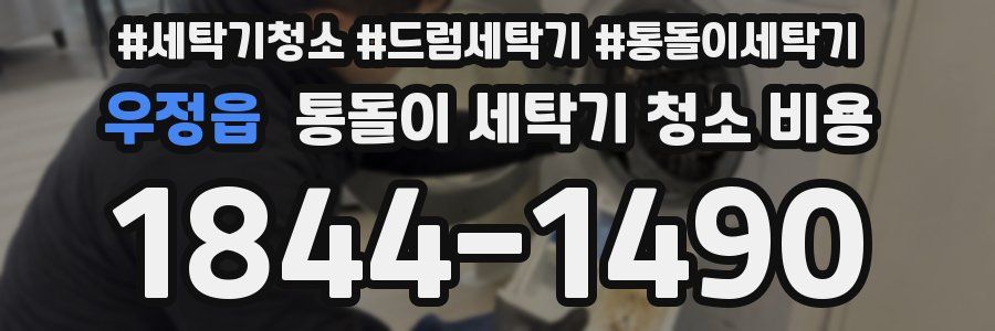 우정읍 통돌이 세탁기 청소 비용