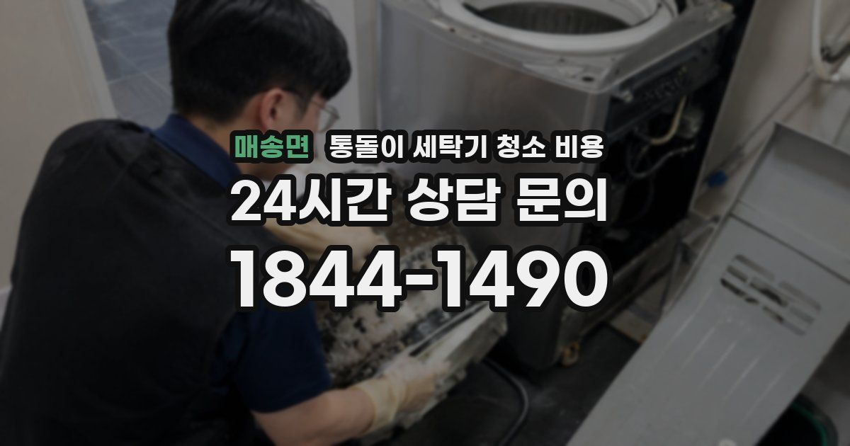 매송면 통돌이 세탁기 청소 비용