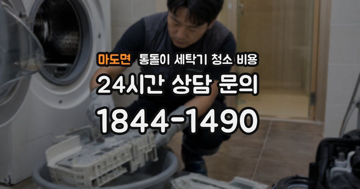 마도면 통돌이 세탁기 청소 비용