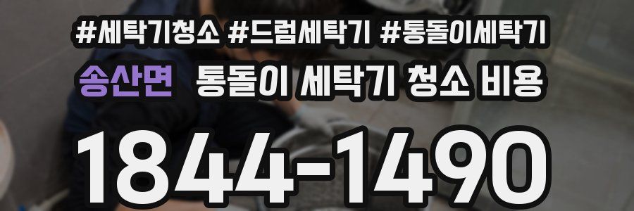 송산면 통돌이 세탁기 청소 비용