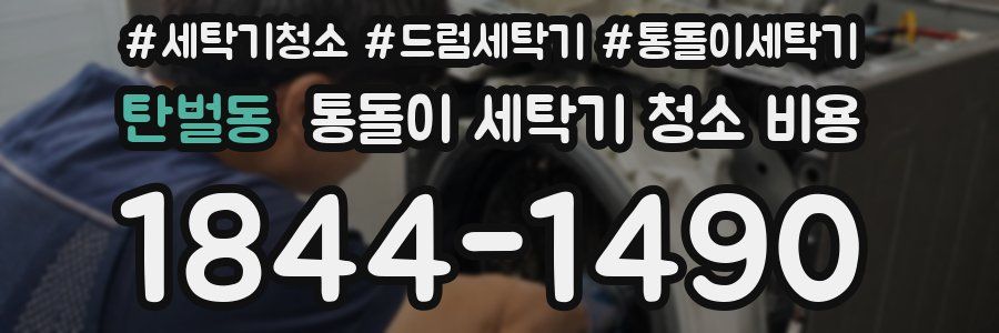 탄벌동 통돌이 세탁기 청소 비용