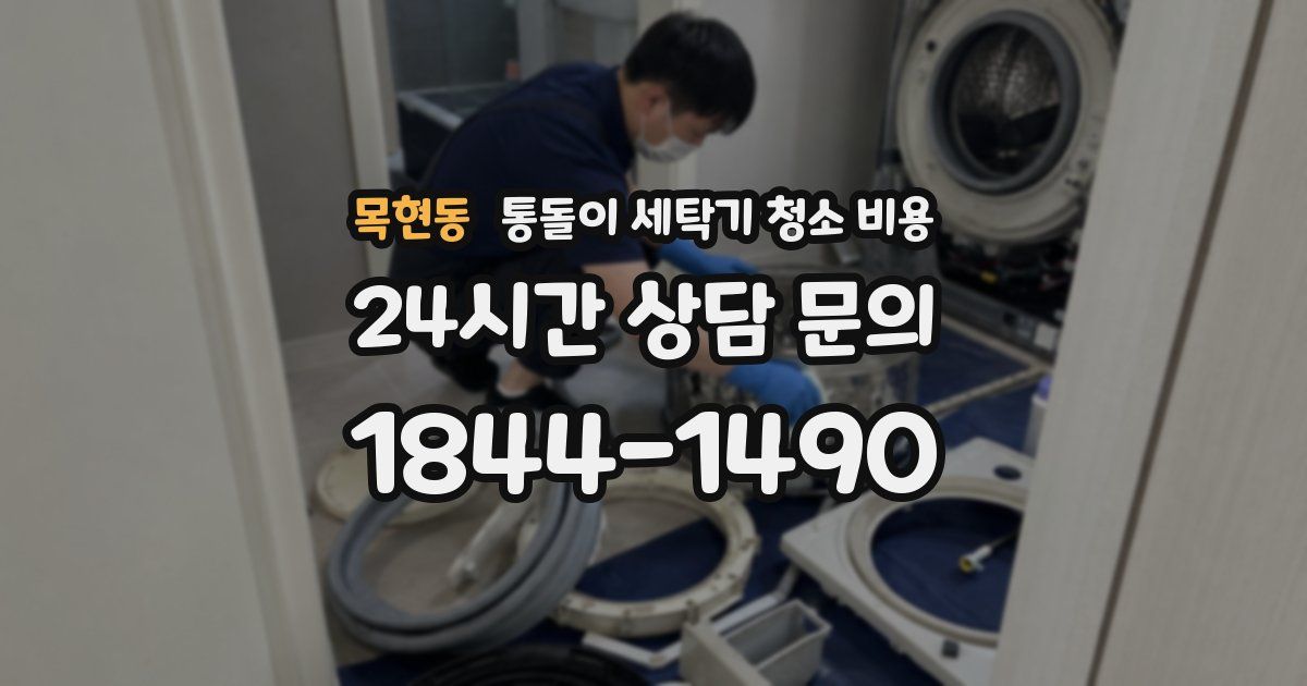 목현동 통돌이 세탁기 청소 비용