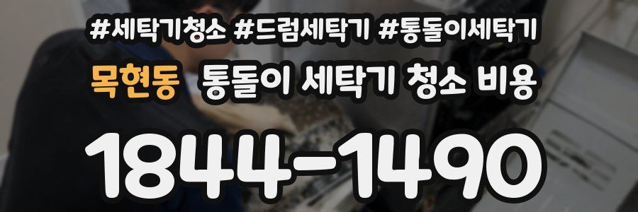 목현동 통돌이 세탁기 청소 비용