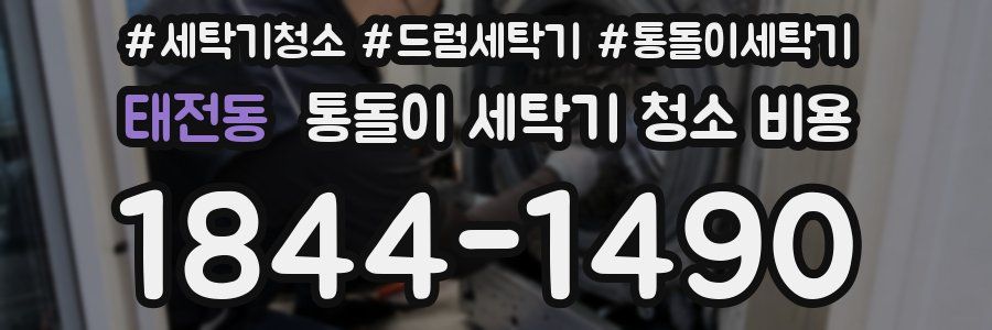 태전동 통돌이 세탁기 청소 비용