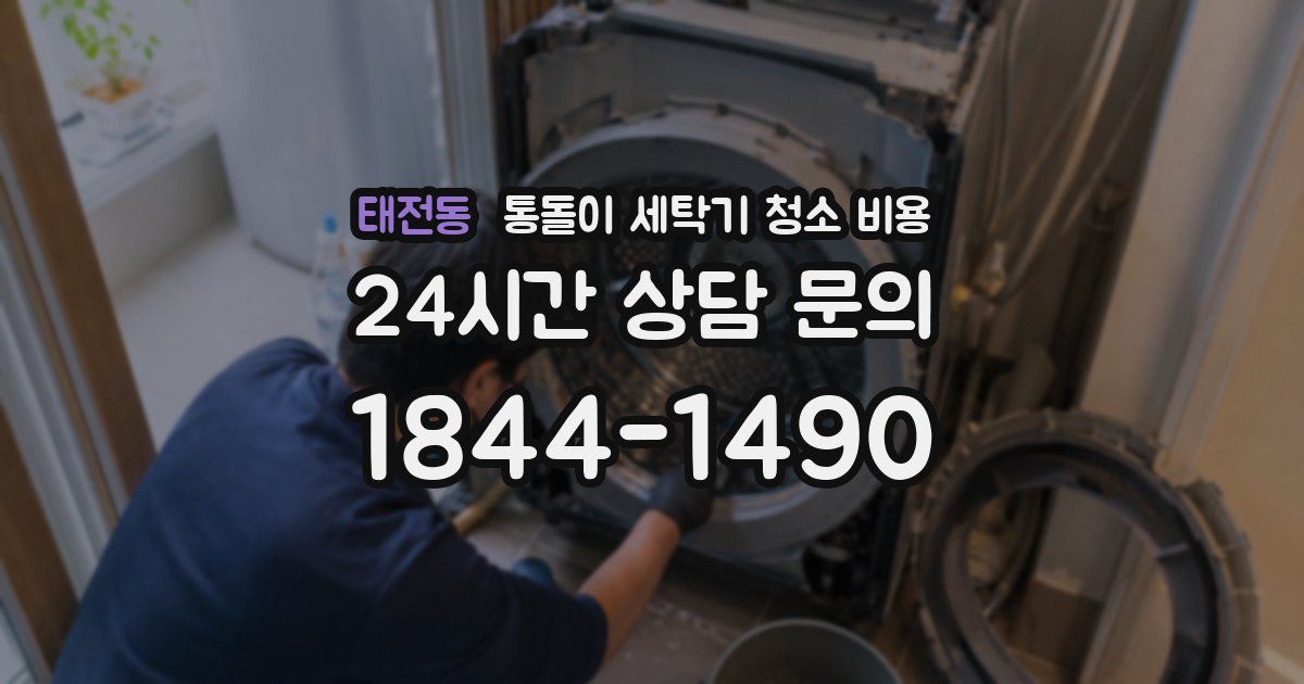 태전동 통돌이 세탁기 청소 비용