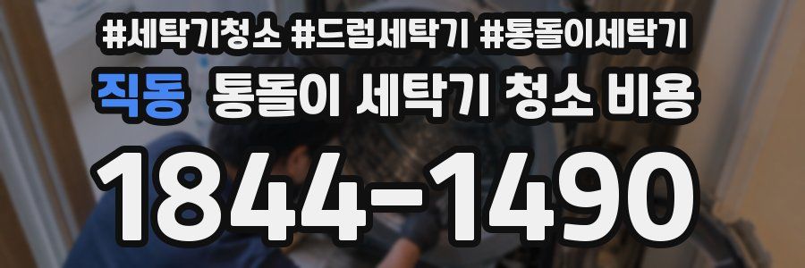 직동 통돌이 세탁기 청소 비용