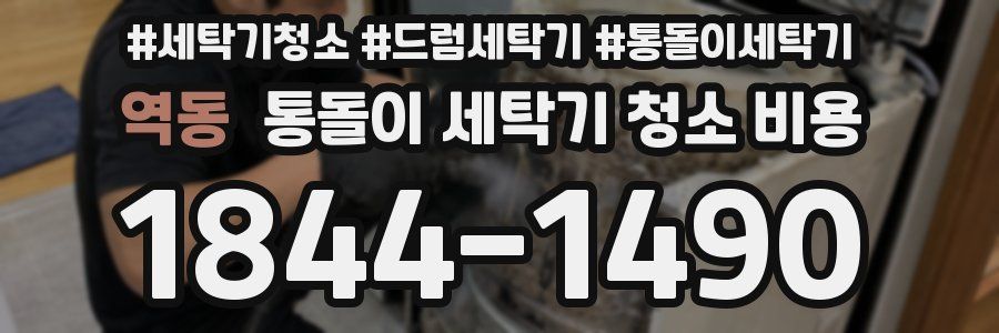 역동 통돌이 세탁기 청소 비용
