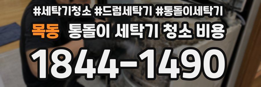 목동 통돌이 세탁기 청소 비용