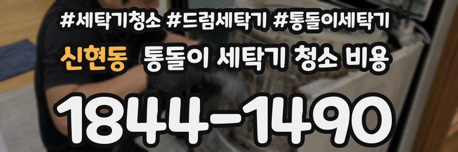 신현동 통돌이 세탁기 청소 비용