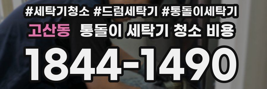 고산동 통돌이 세탁기 청소 비용