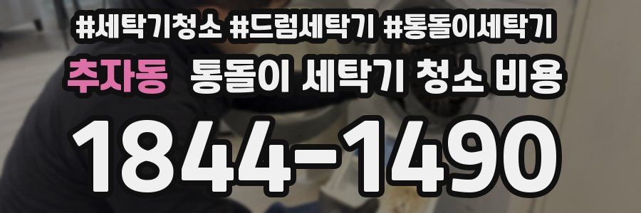 추자동 통돌이 세탁기 청소 비용