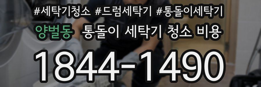 양벌동 통돌이 세탁기 청소 비용