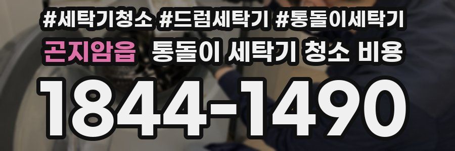 곤지암읍 통돌이 세탁기 청소 비용