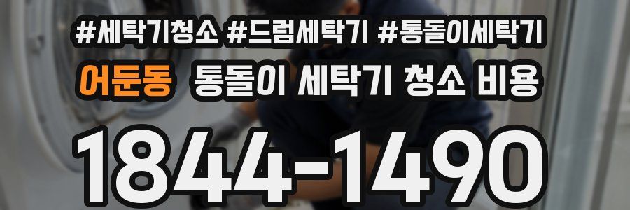 어둔동 통돌이 세탁기 청소 비용