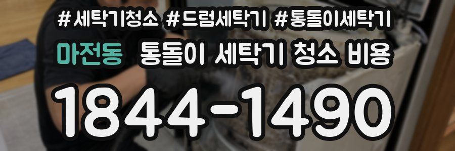 마전동 통돌이 세탁기 청소 비용