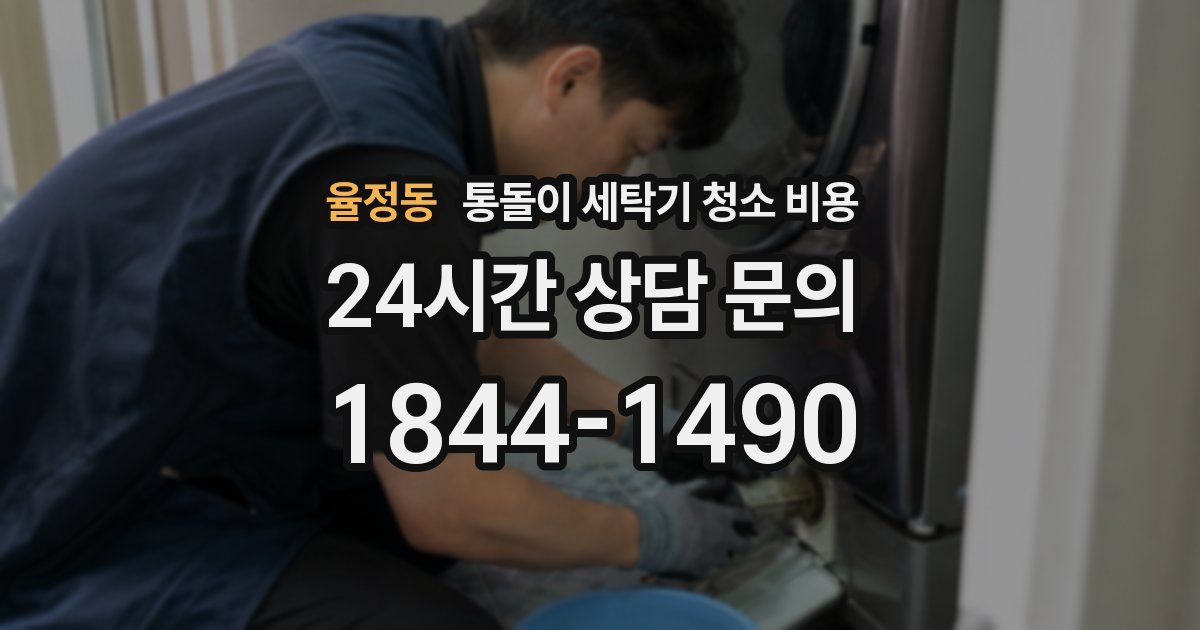 율정동 통돌이 세탁기 청소 비용