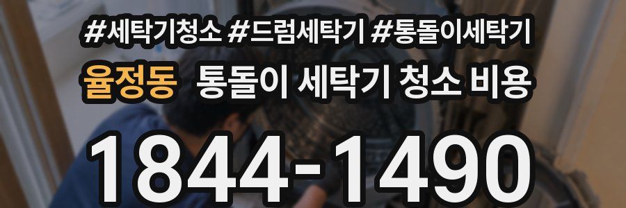 율정동 통돌이 세탁기 청소 비용