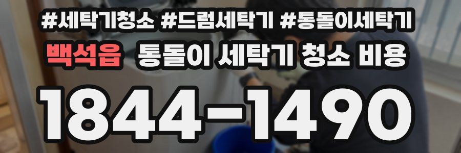 백석읍 통돌이 세탁기 청소 비용