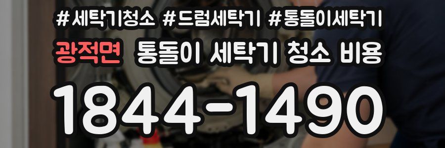 광적면 통돌이 세탁기 청소 비용