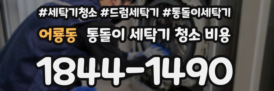 어룡동 통돌이 세탁기 청소 비용