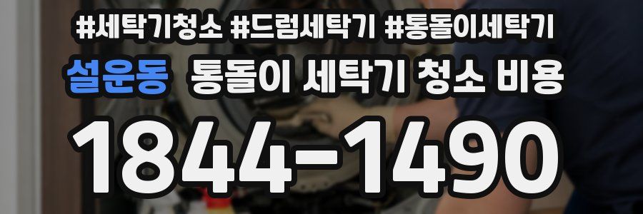 설운동 통돌이 세탁기 청소 비용