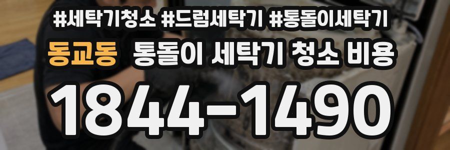 동교동 통돌이 세탁기 청소 비용