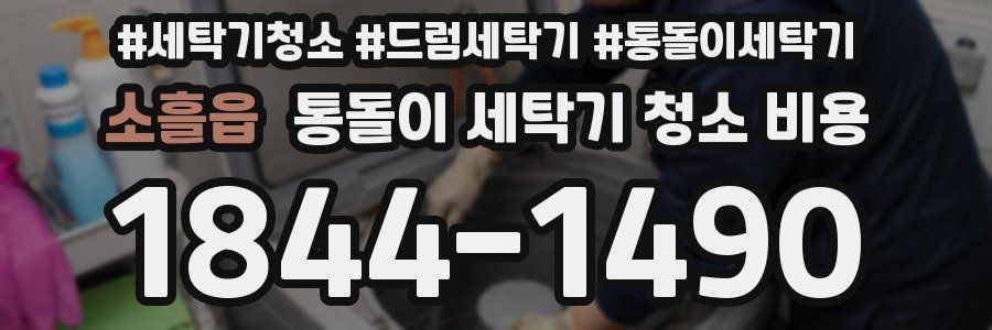소흘읍 통돌이 세탁기 청소 비용