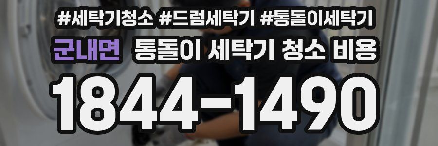 군내면 통돌이 세탁기 청소 비용