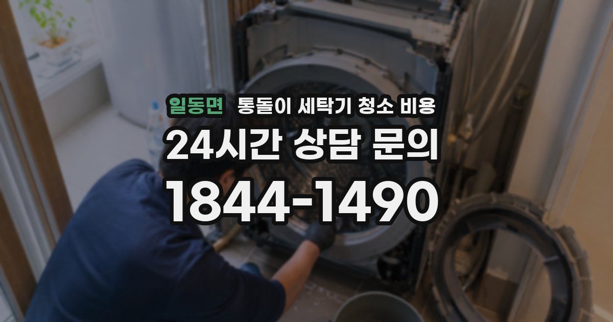 일동면 통돌이 세탁기 청소 비용