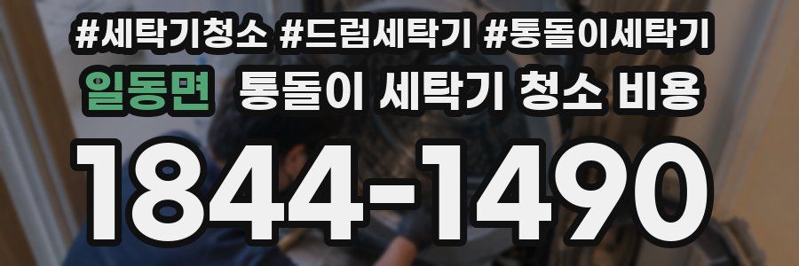 일동면 통돌이 세탁기 청소 비용