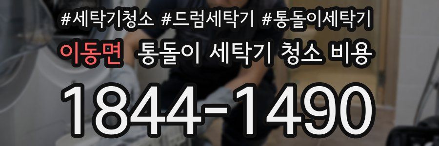 이동면 통돌이 세탁기 청소 비용