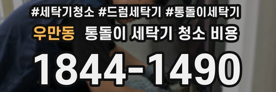 우만동 통돌이 세탁기 청소 비용