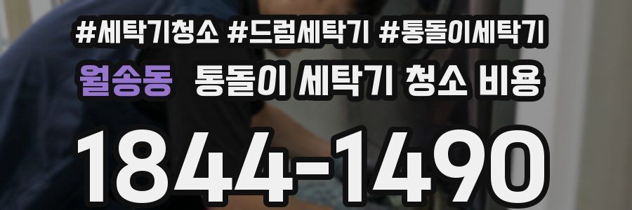 월송동 통돌이 세탁기 청소 비용
