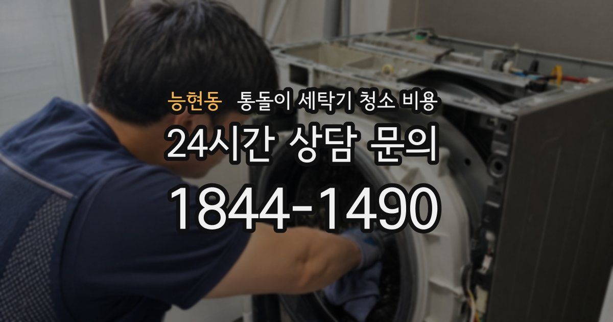 능현동 통돌이 세탁기 청소 비용