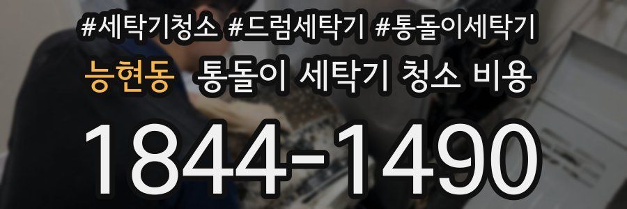 능현동 통돌이 세탁기 청소 비용