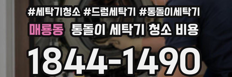 매룡동 통돌이 세탁기 청소 비용